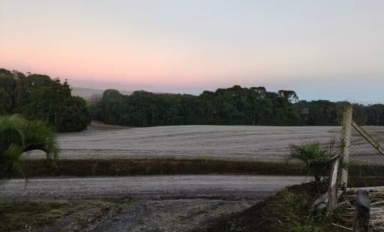 Paraná amanhece com geadas, temperaturas negativas e sensação térmica de -7,5ºC
