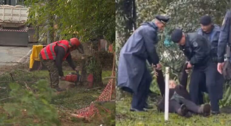 Sob protestos, Prefeitura de Curitiba corta mais de 100 árvores para obras de mobilidade