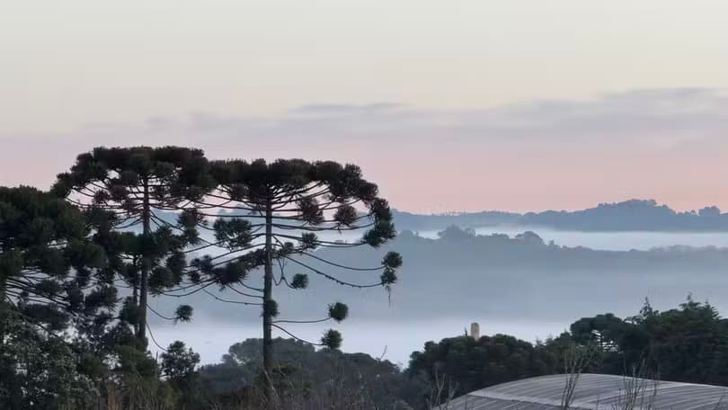 Paraná inicia semana com -0,6ºC e deve terminar com 34ºC; veja onde e a previsão do tempo