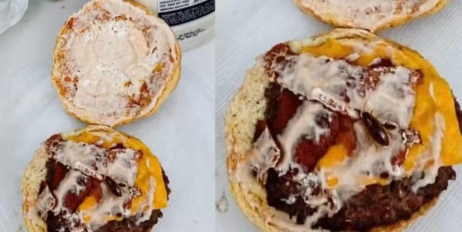 Cliente usa inteligência artificial para simular barata em lanche e pedir reembolso em São José dos Pinhais