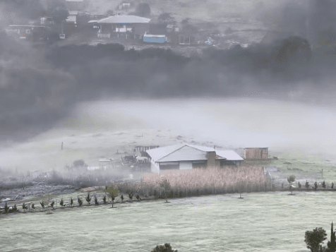 Paraná pode chegar a 1ºC e ter geadas ao longo da semana; veja previsão do tempo