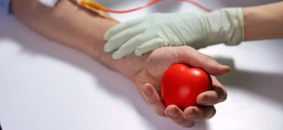 Novas regras para doação de sangue entram em vigor nesta quarta; veja o que muda