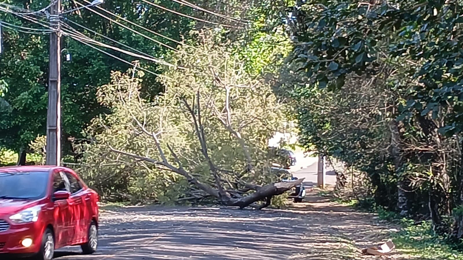 Ventos passam de 70 km/h e causam estragos no Paraná; estado continua sob alerta de vendavais de até 100 km/h
