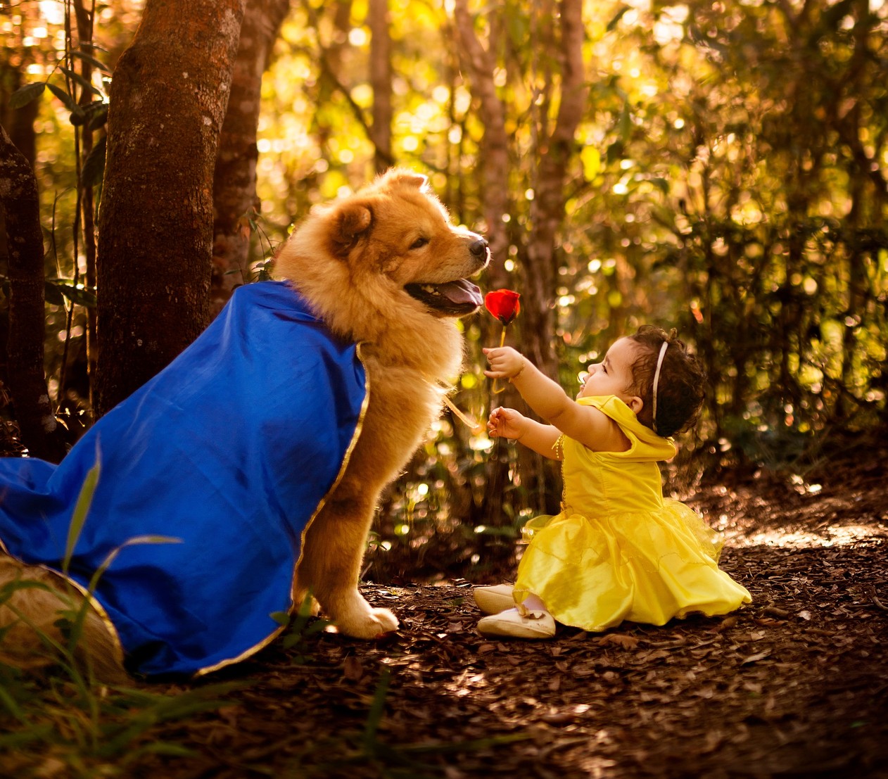 Fotografa Faz Ensaio De A Bela E A Fera Com Bebe E Cachorro 98fm Curitiba Sintonize 98 9 Fotografa Faz Ensaio De A Bela E A Fera Com Bebe E Cachorro 98fm Curitiba Sintonize 98 9