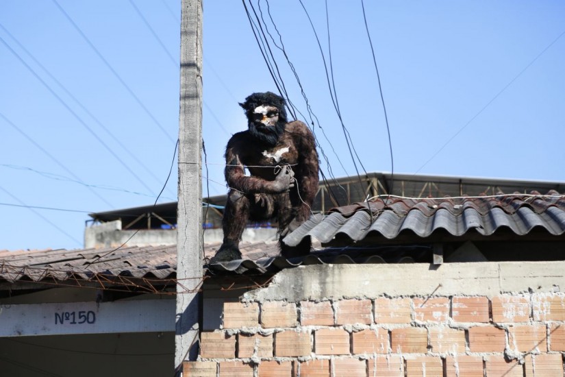 'Lobisomem do Uberaba' assusta e provoca curiosidade ...
