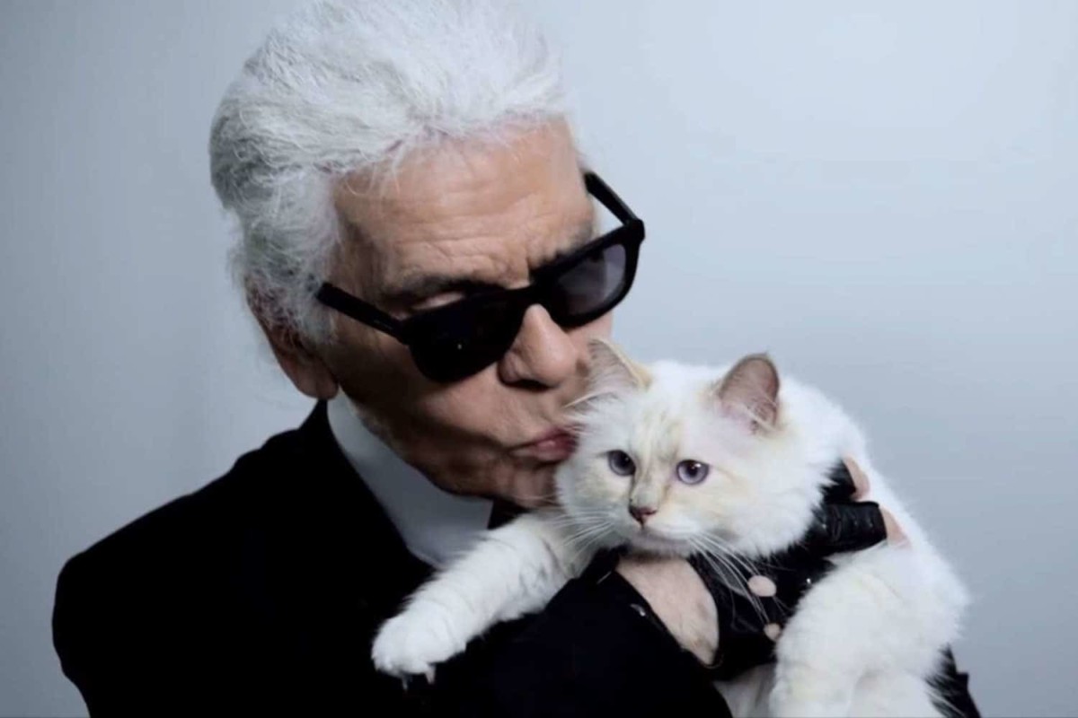 Resultado de imagem para choupette herdeira de karl lagerfeld